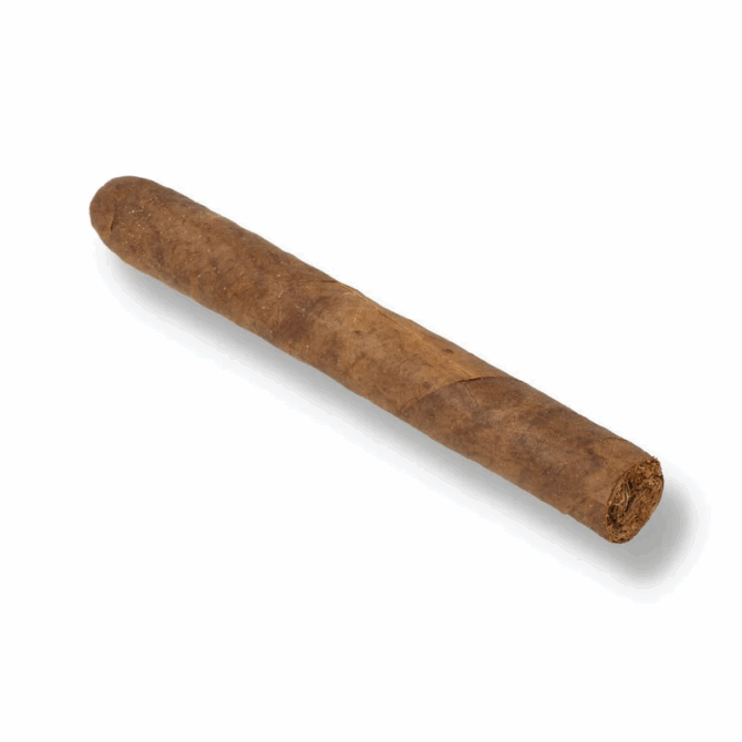 Charatan Coronas Dutch (Machine Made) / Box of 25 - Image 3