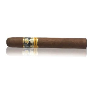 Cohiba Siglo II / Single