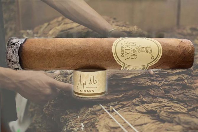 Flor de Selva CLÁSICA Robusto / Box of 25 - Image 6