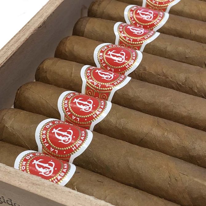 La Flor de Cano Elegidos / Single - Image 4