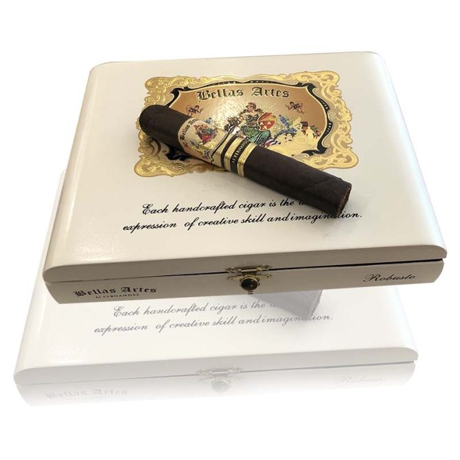 A J Fernandez Bellas Artes Robusto Maduro / Box of 20 - Image 2