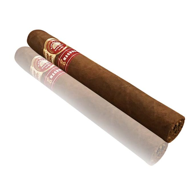H. Upmann Magnum 50 / Box of 10 - Image 3