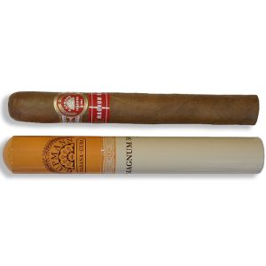 H. Upmann Magnum 50 in Tube / Single