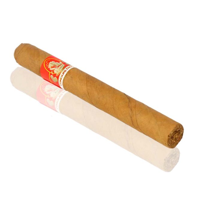 Conquistador Petit Corona / Bundle of 25 - Image 2