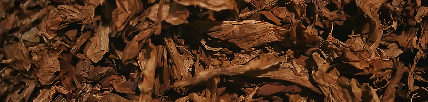 cigar leaf