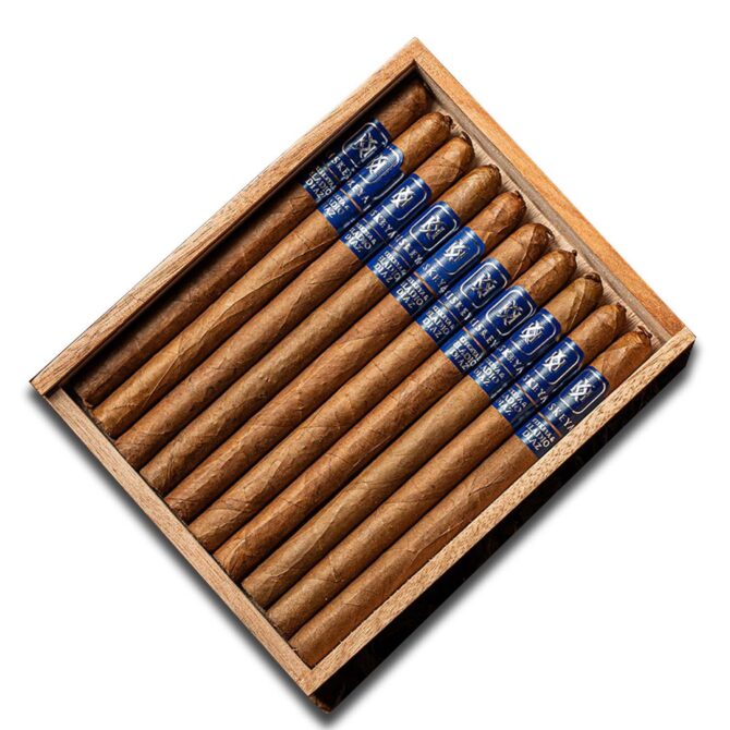 The Kiskeya Lancero / Box of 10 - Image 6