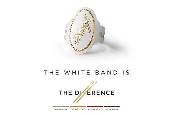 White Band Collection