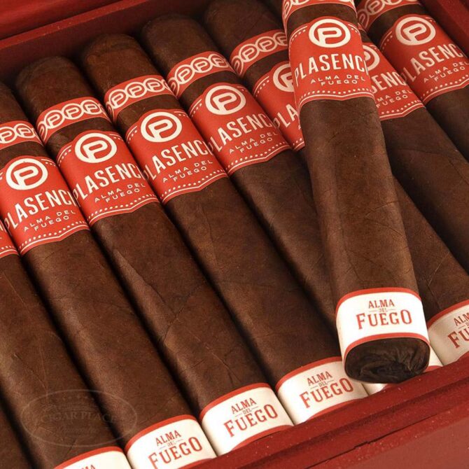 Plasencia Alma del Fuego "Candente" Robusto / Single - Image 3