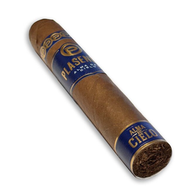 Plasencia Alma del Cielo "Celeste" Robusto / Single - Image 2